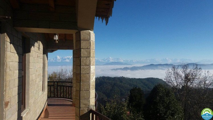 Natures Treat  and Himalayan view