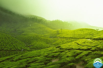 Kerala