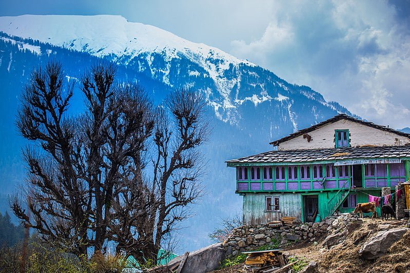 Himalayan stay