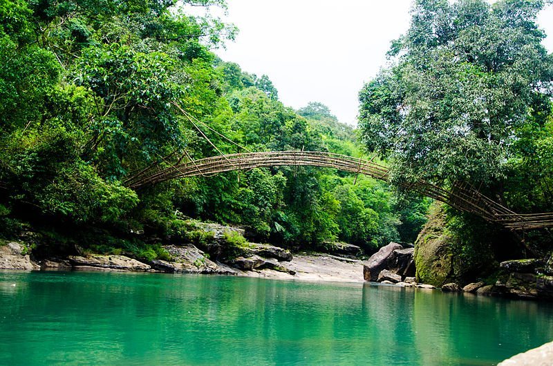 Bamboo Bridge Meghalaya